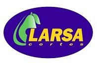 LarsaP